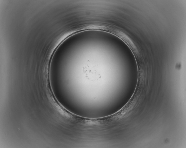 X0000097620852200802291324