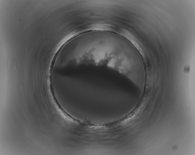 X0000097620853200802291324
