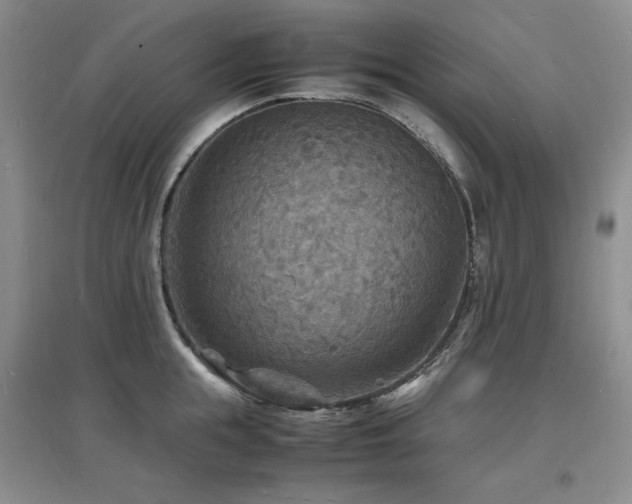 X0000097620855200802291324