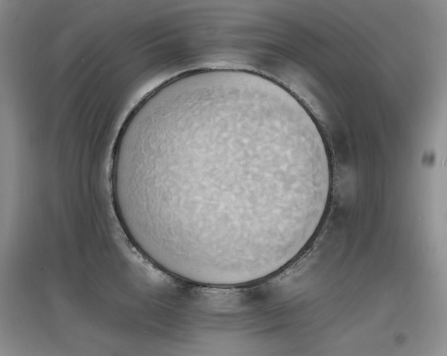 X0000097620856200802291324