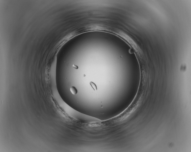 X0000097620857200802291324