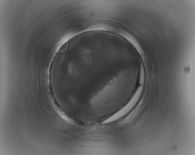 X0000097620858200802291324