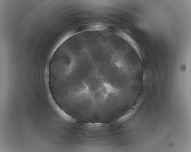 X0000097620859200802291324