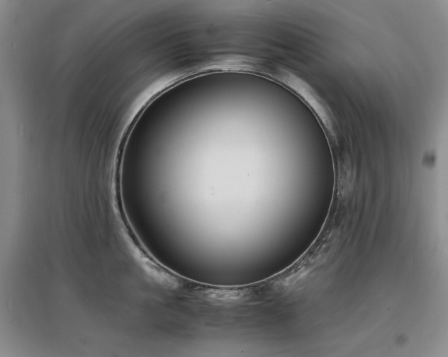 X0000097620861200802291324