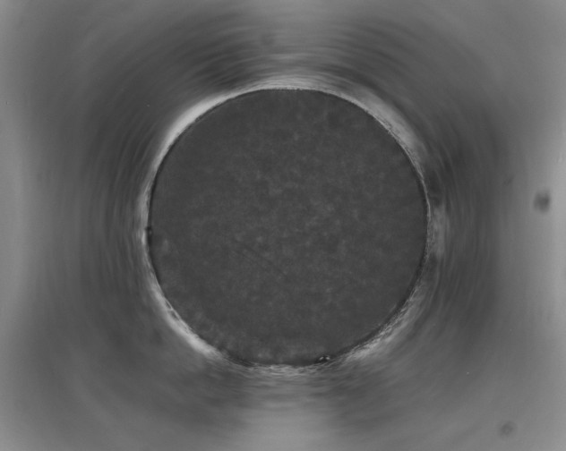 X0000097620862200802291324