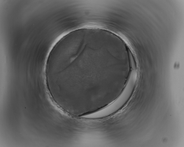 X0000097620864200802291324