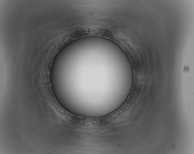 X0000097620865200802291323
