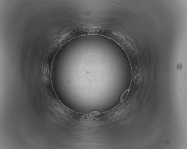 X0000097620866200802291323