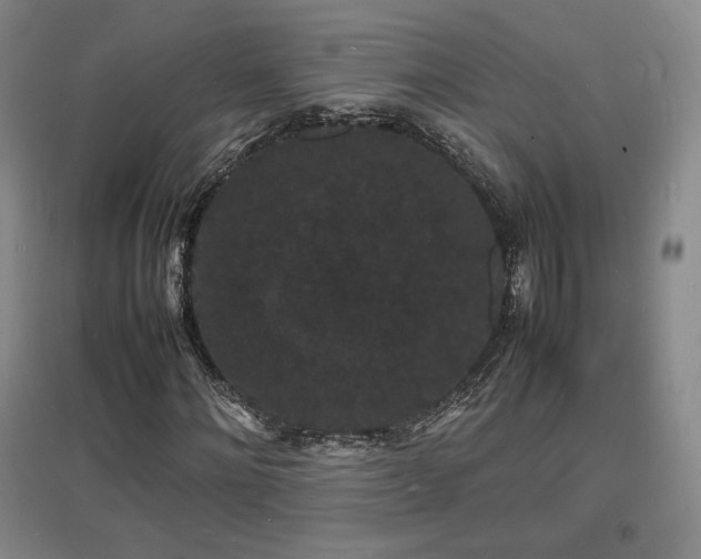 X0000097620868200802291323