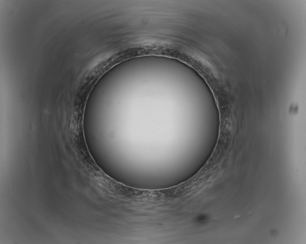 X0000097620869200802291323