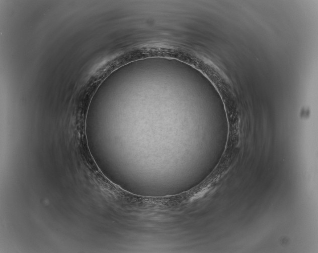 X0000097620870200802291323