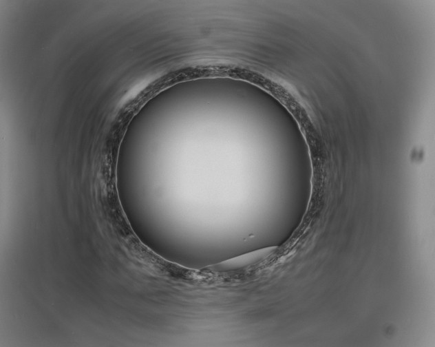 X0000097620871200802291323