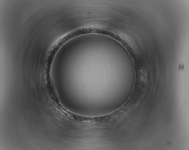 X0000097620872200802291323