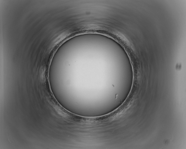 X0000097620873200802291323
