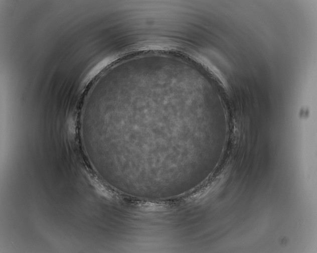 X0000097620874200802291323