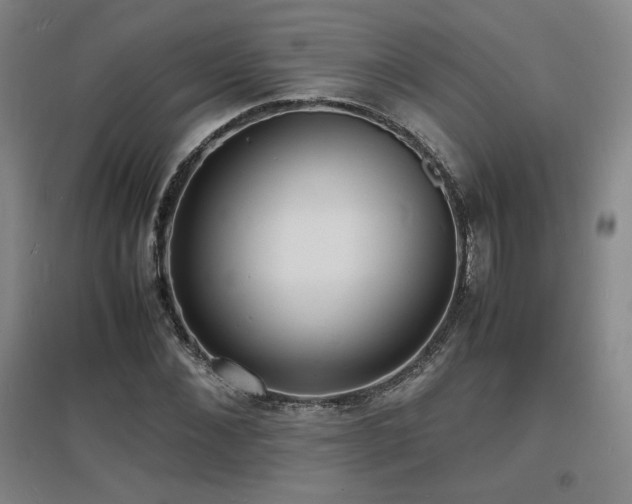 X0000097620876200802291323