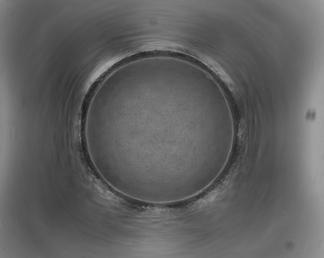 X0000097620877200802291323