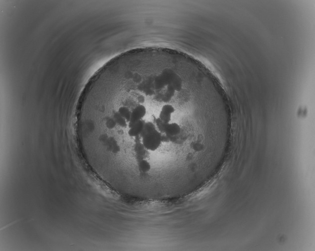 X0000097620879200802291323
