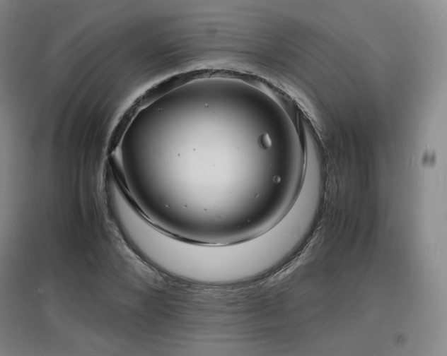 X0000097620880200802291323