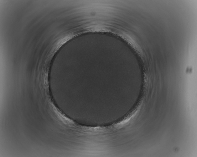X0000097620881200802291323