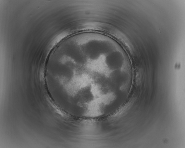 X0000097620882200802291323