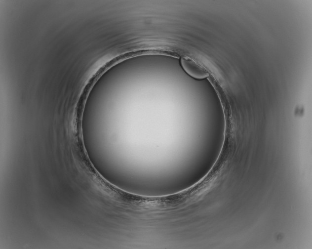 X0000097620883200802291323