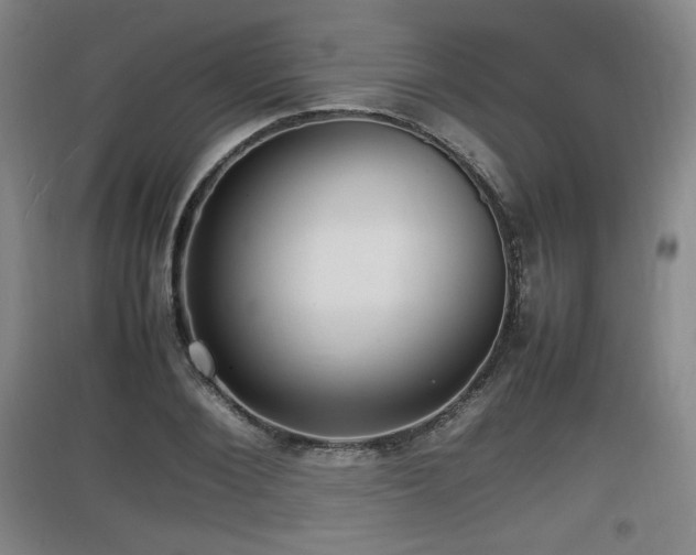 X0000097620884200802291323