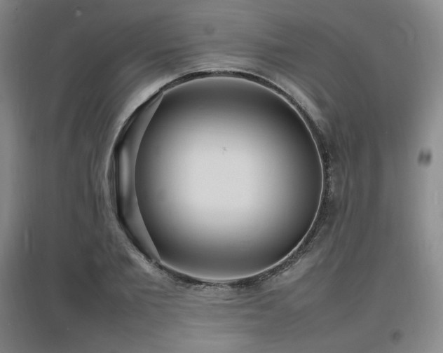X0000097620885200802291323