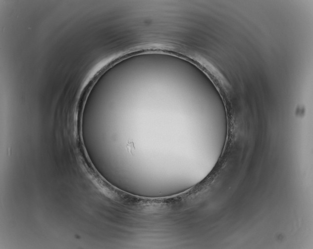 X0000097620886200802291323