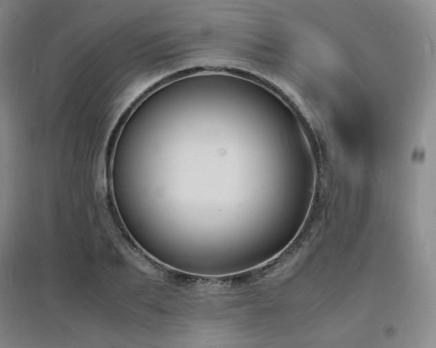 X0000097620887200802291323