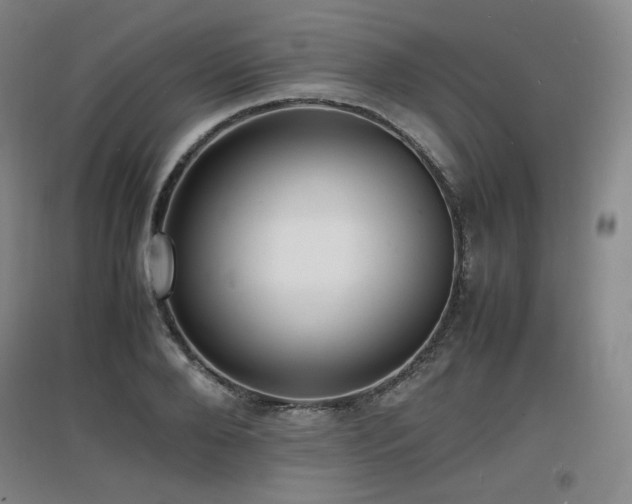X0000097620888200802291323