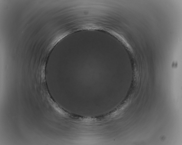 X0000097620889200802291323