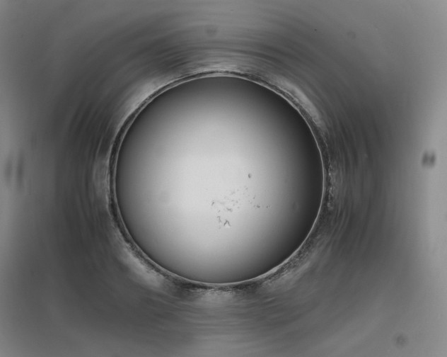 X0000097620890200802291323