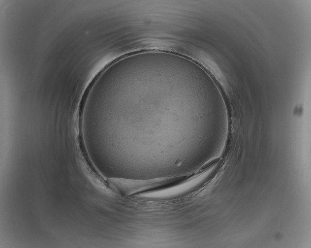 X0000097620891200802291323