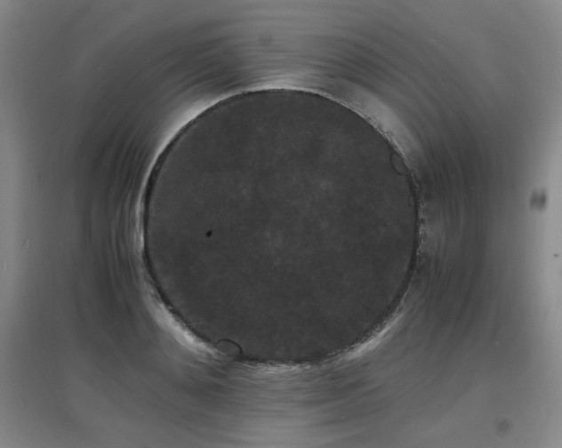 X0000097620892200802291323