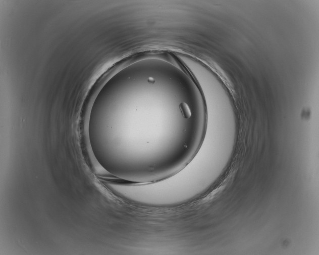 X0000097620893200802291323
