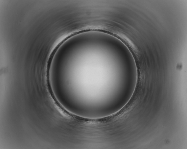 X0000097620894200802291323