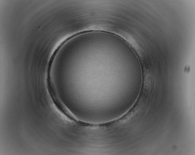 X0000097620896200802291323