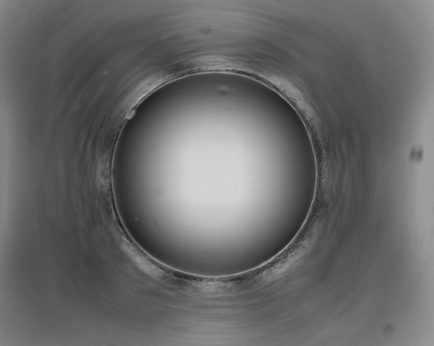 X0000097620897200802291323