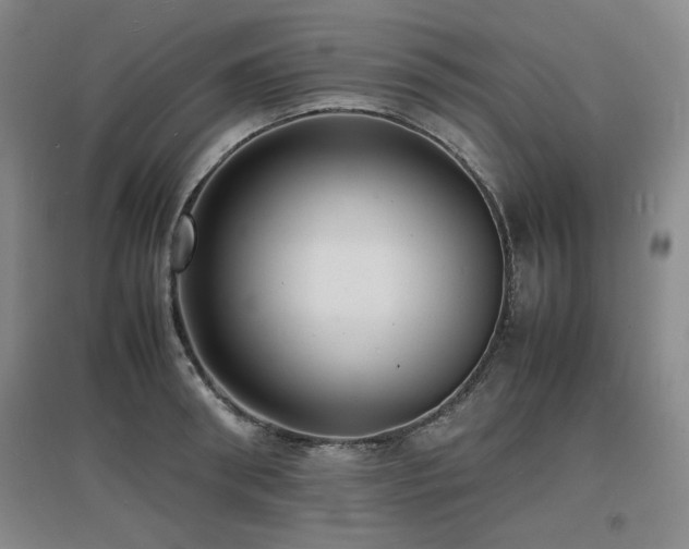 X0000097620898200802291323
