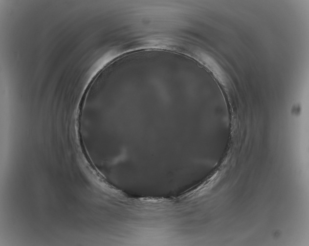X0000097620899200802291323