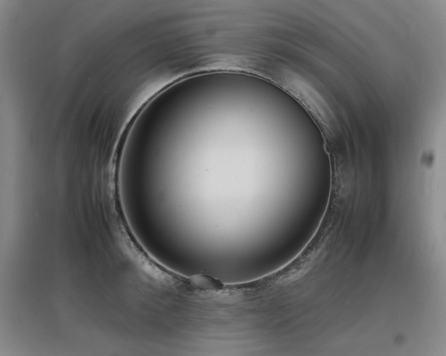 X0000097620900200802291323