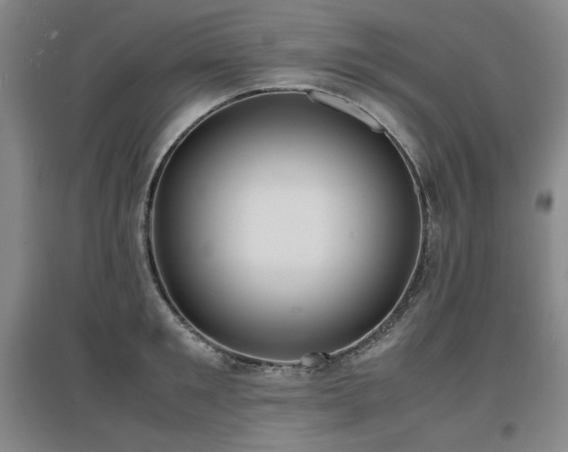 X0000097620901200802291323