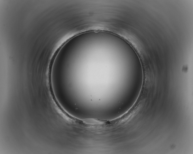 X0000097620902200802291323