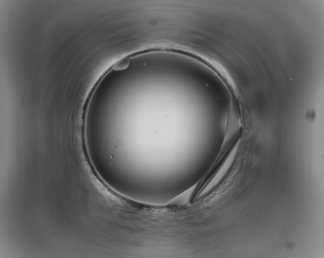 X0000097620903200802291323