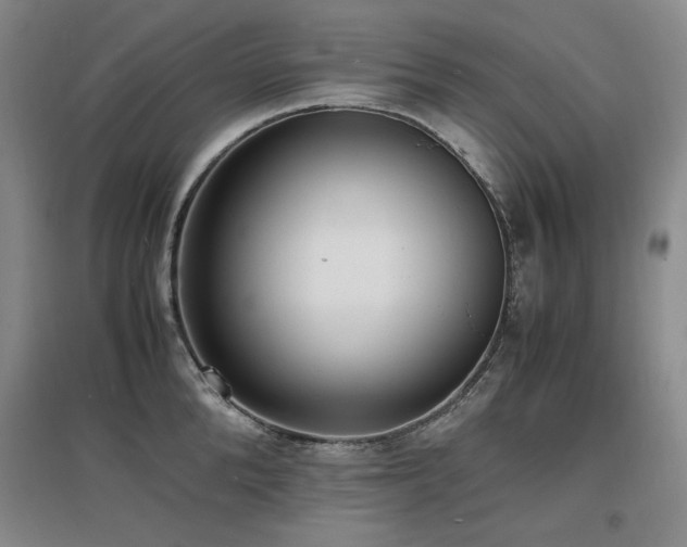 X0000097620904200802291323