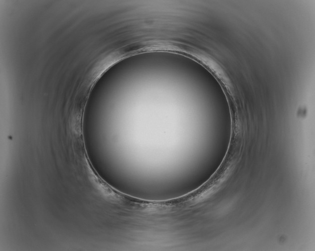 X0000097620905200802291323