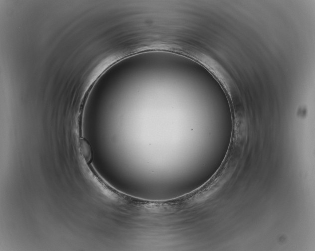X0000097620906200802291323