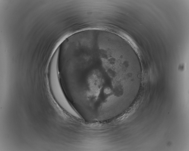 X0000097620907200802291323
