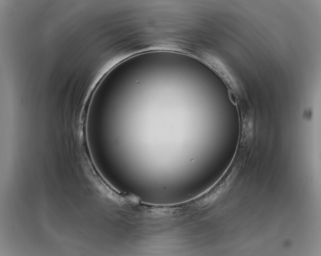 X0000097620908200802291323